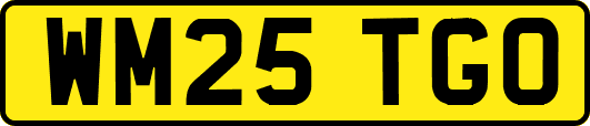 WM25TGO