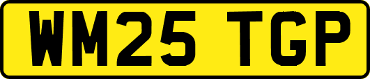 WM25TGP