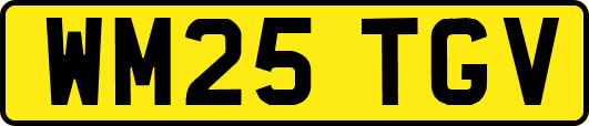 WM25TGV
