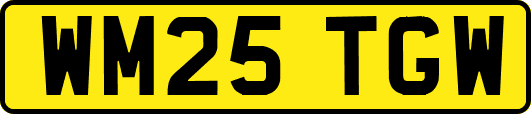 WM25TGW