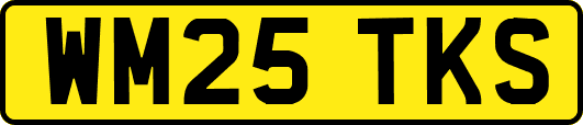 WM25TKS