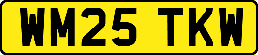 WM25TKW