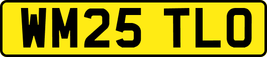 WM25TLO