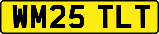 WM25TLT