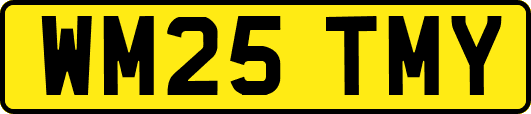 WM25TMY