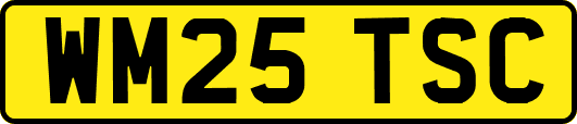 WM25TSC