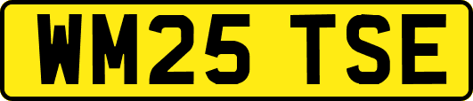 WM25TSE