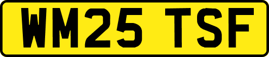 WM25TSF