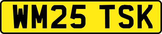 WM25TSK