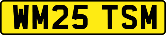 WM25TSM