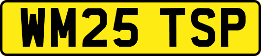 WM25TSP