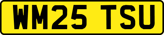 WM25TSU