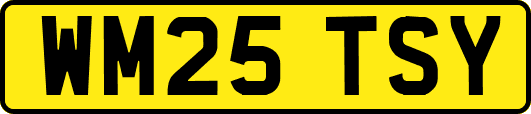 WM25TSY
