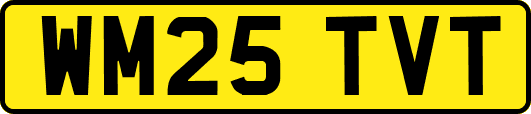 WM25TVT