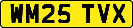 WM25TVX