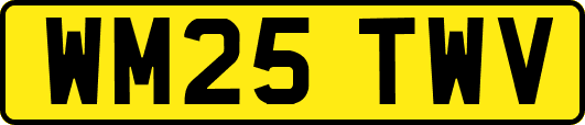 WM25TWV