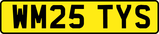 WM25TYS
