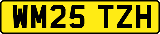 WM25TZH