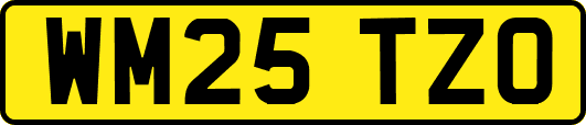 WM25TZO