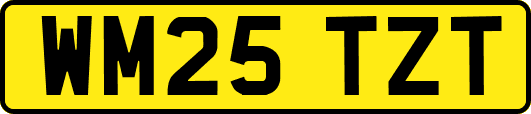 WM25TZT