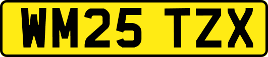WM25TZX