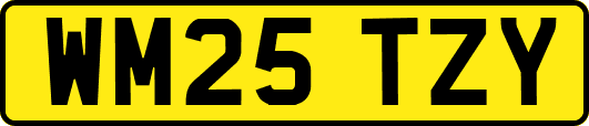 WM25TZY