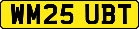 WM25UBT