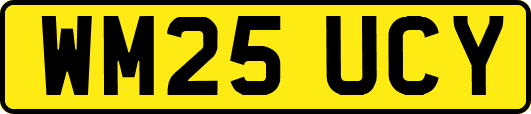 WM25UCY