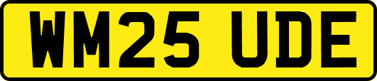 WM25UDE