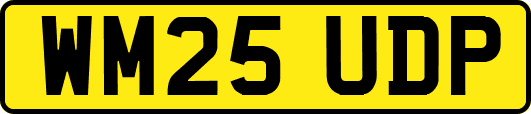 WM25UDP