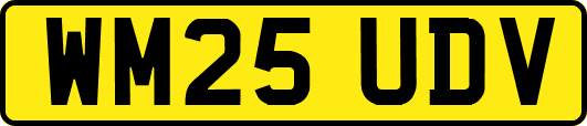 WM25UDV