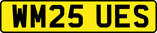 WM25UES
