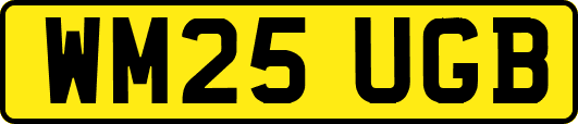 WM25UGB