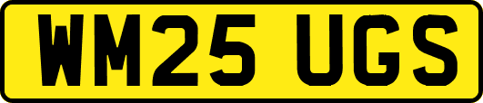 WM25UGS