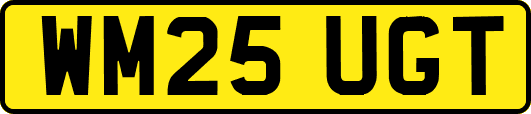 WM25UGT