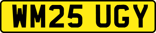 WM25UGY