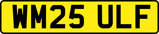 WM25ULF