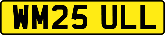 WM25ULL