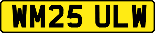 WM25ULW