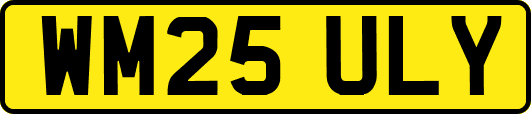 WM25ULY