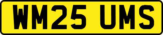 WM25UMS