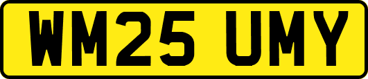 WM25UMY