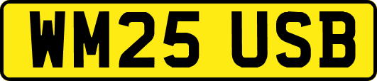 WM25USB