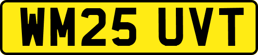 WM25UVT