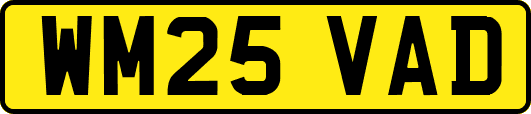 WM25VAD