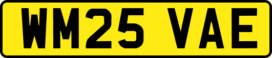 WM25VAE