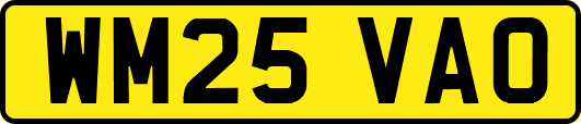 WM25VAO