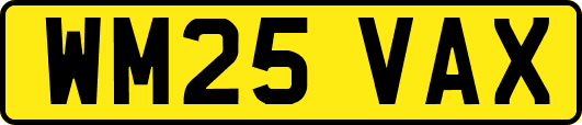 WM25VAX
