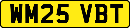 WM25VBT