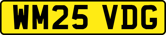 WM25VDG